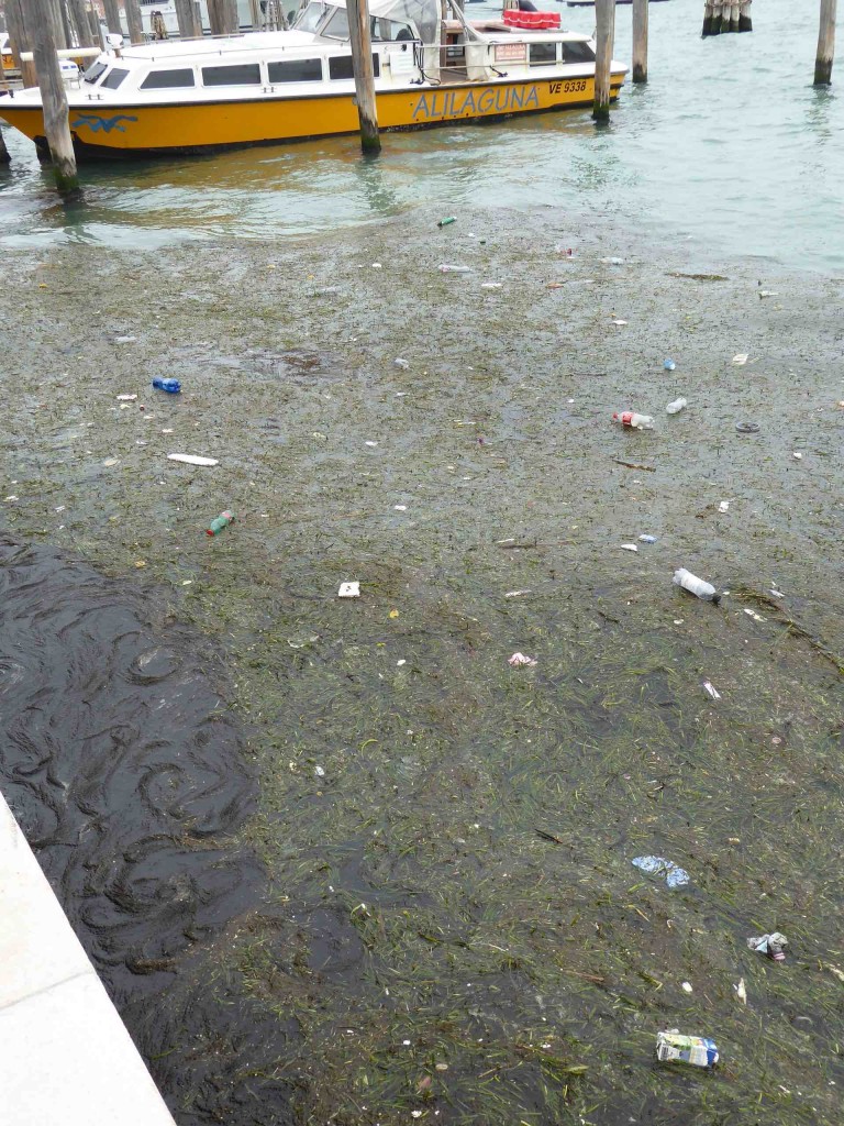 La lagune, près de Punta della Dogana 