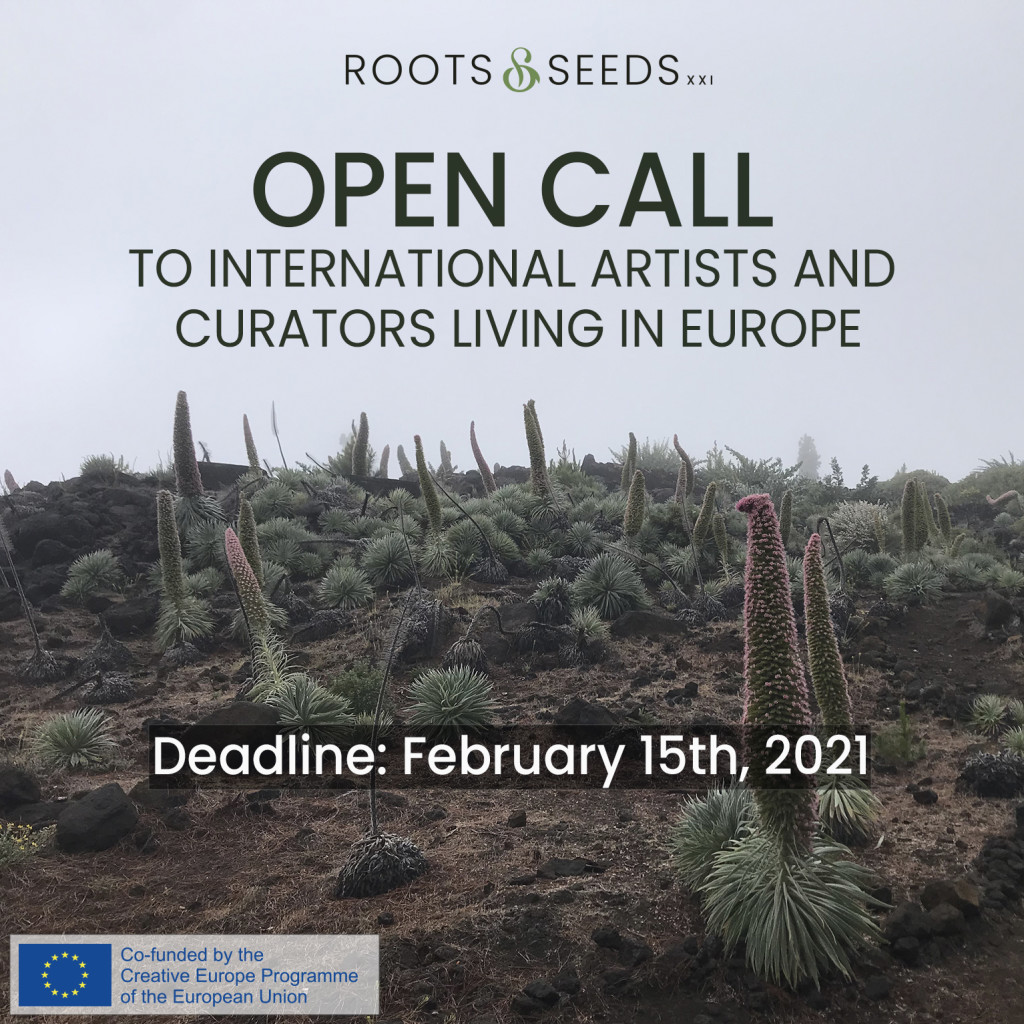 IG anuncio ROOTS AND SEEDS OPEN CALL