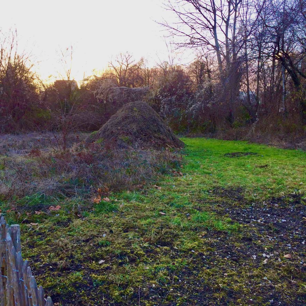 Leonardo-olats-laser-roots-and-seeds-grass cuttings mound in paris_photo by Meredith Root-Bernstein - copie